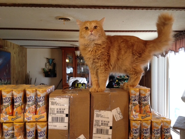 Freedom's Last Chance Sanctuary Photo 1